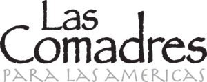 Las Comadres, Maria Ferrer, Nora Comstock, LatinoLit, Hispanic women's networking, Speakers Series